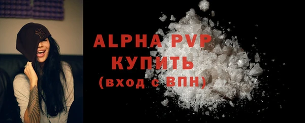 ПСИЛОЦИБИНОВЫЕ ГРИБЫ Кукмор