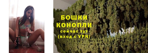 ПСИЛОЦИБИНОВЫЕ ГРИБЫ Кукмор