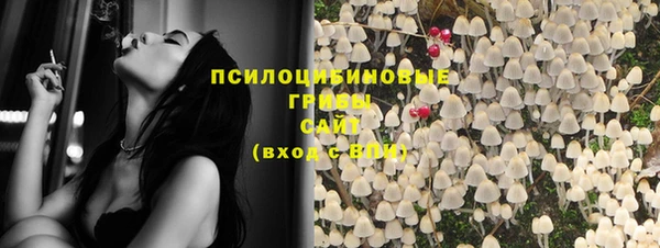 ПСИЛОЦИБИНОВЫЕ ГРИБЫ Кукмор