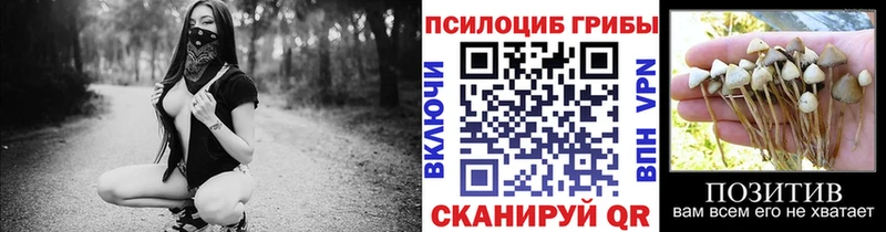 Псилоцибиновые грибы мухоморы  omg зеркало  Никольское 